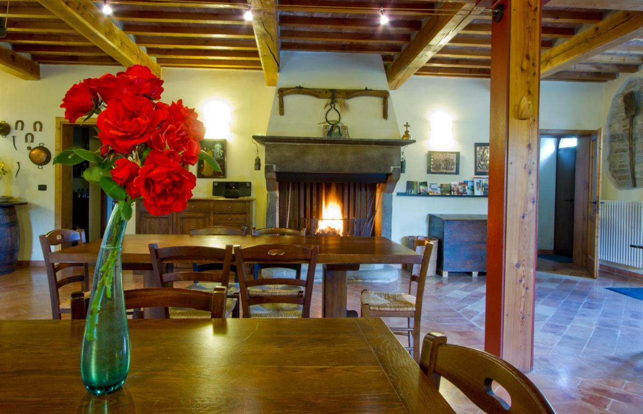 Foglie Agroturismo *