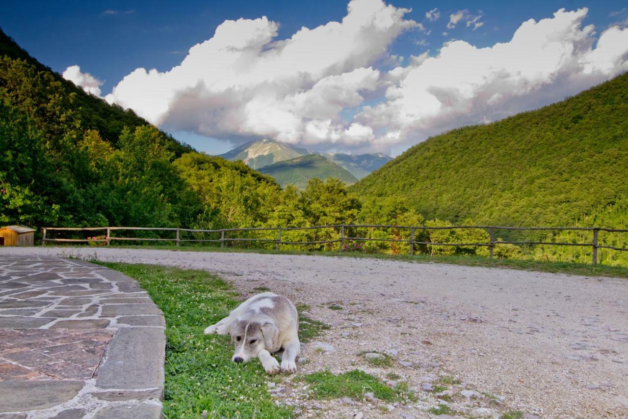 Foglie Agroturismo Gubbio